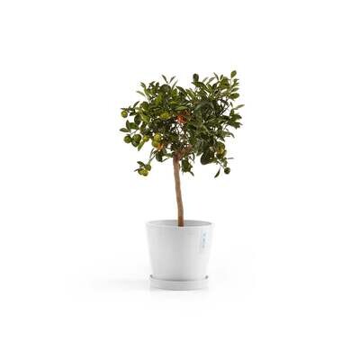 Kukkaruukku Amsterdam 20cm valkoinen