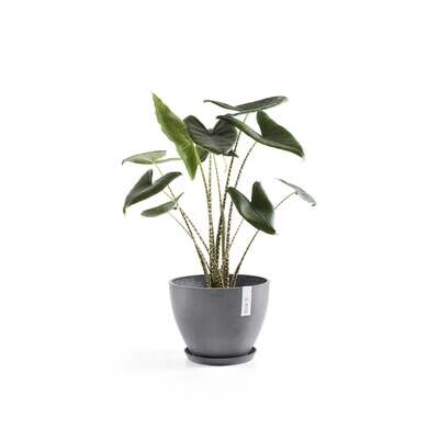 Kukkaruukku Antwerpen 30cm harmaa