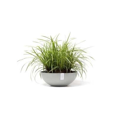 Kukkaruukku Vienna 50cm valkoharmaa