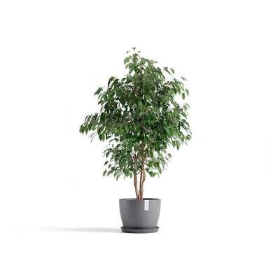 Kukkaruukku Tukholma 31cm harmaa