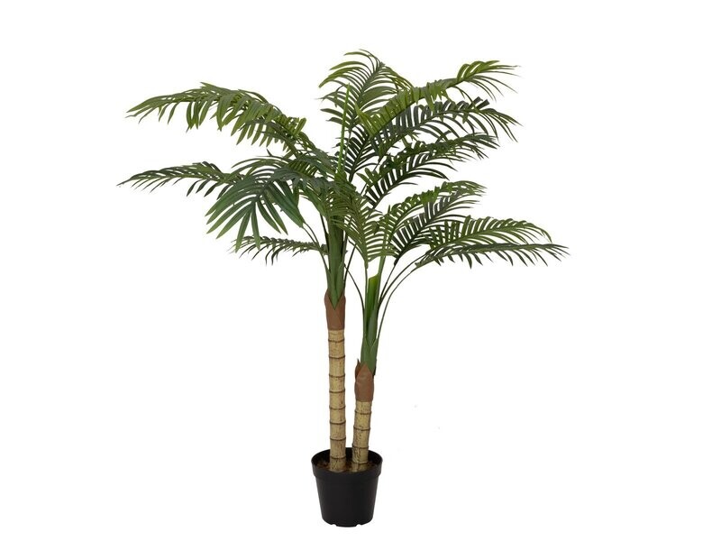 Areca -tekopalmu ruukussa 120cm