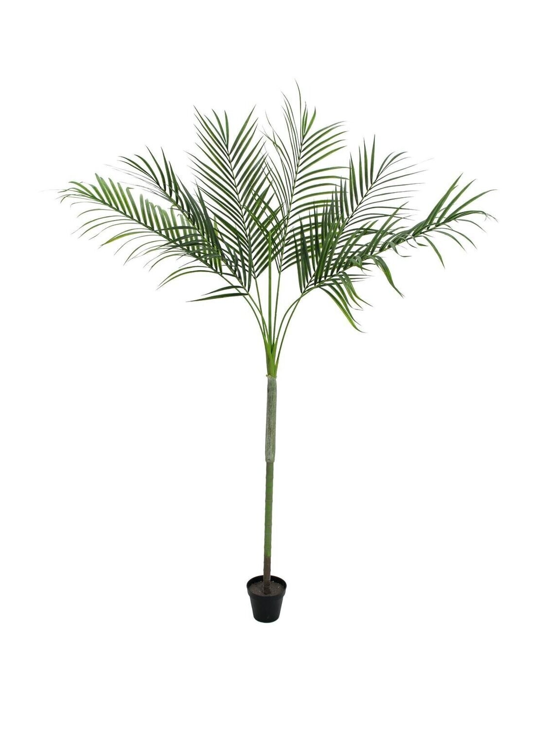 Tekokasvi areca-palmu 180cm