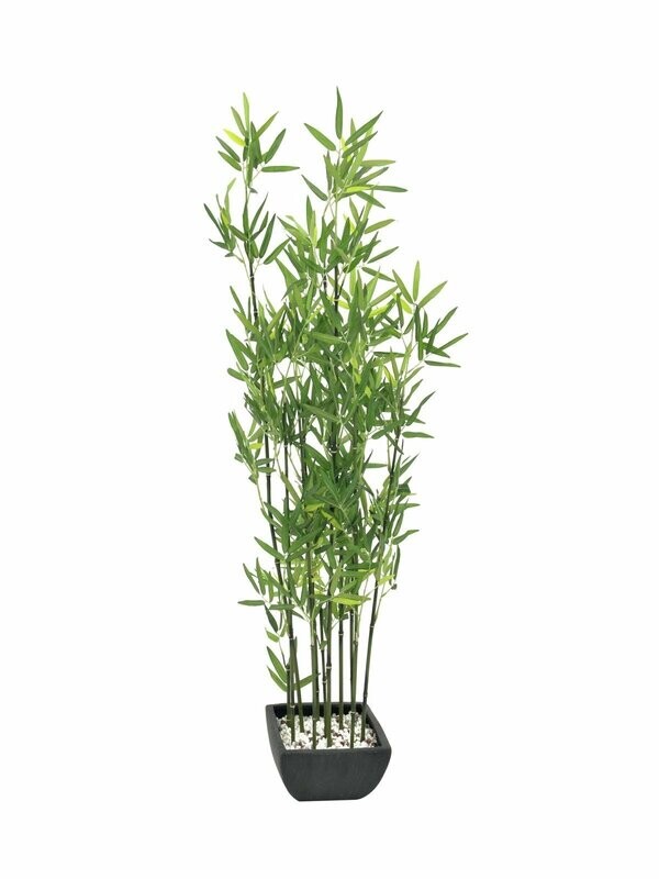 Bambu tekokasvi koristeruukussa 120cm
