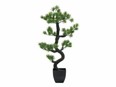 Bonsai tekokasvi ruukussa 95cm