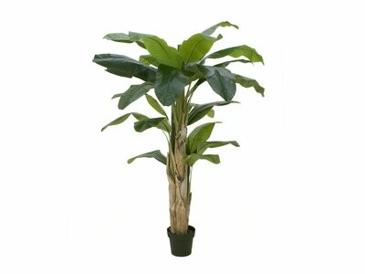 Banaani tekopuu 170cm