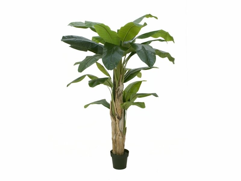Banaani tekopuu 170cm