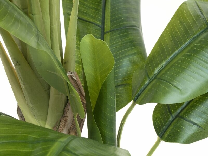 Banaani tekopuu 170cm
