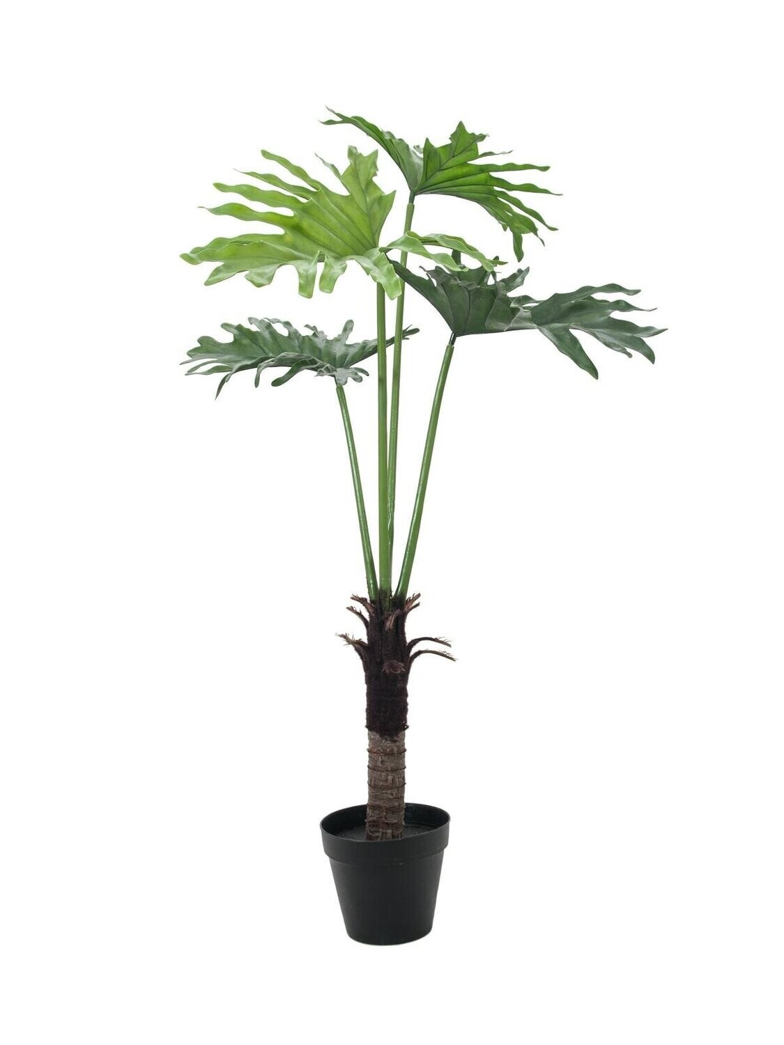Köynnösvehka tekokasvi ruukussa 120cm
