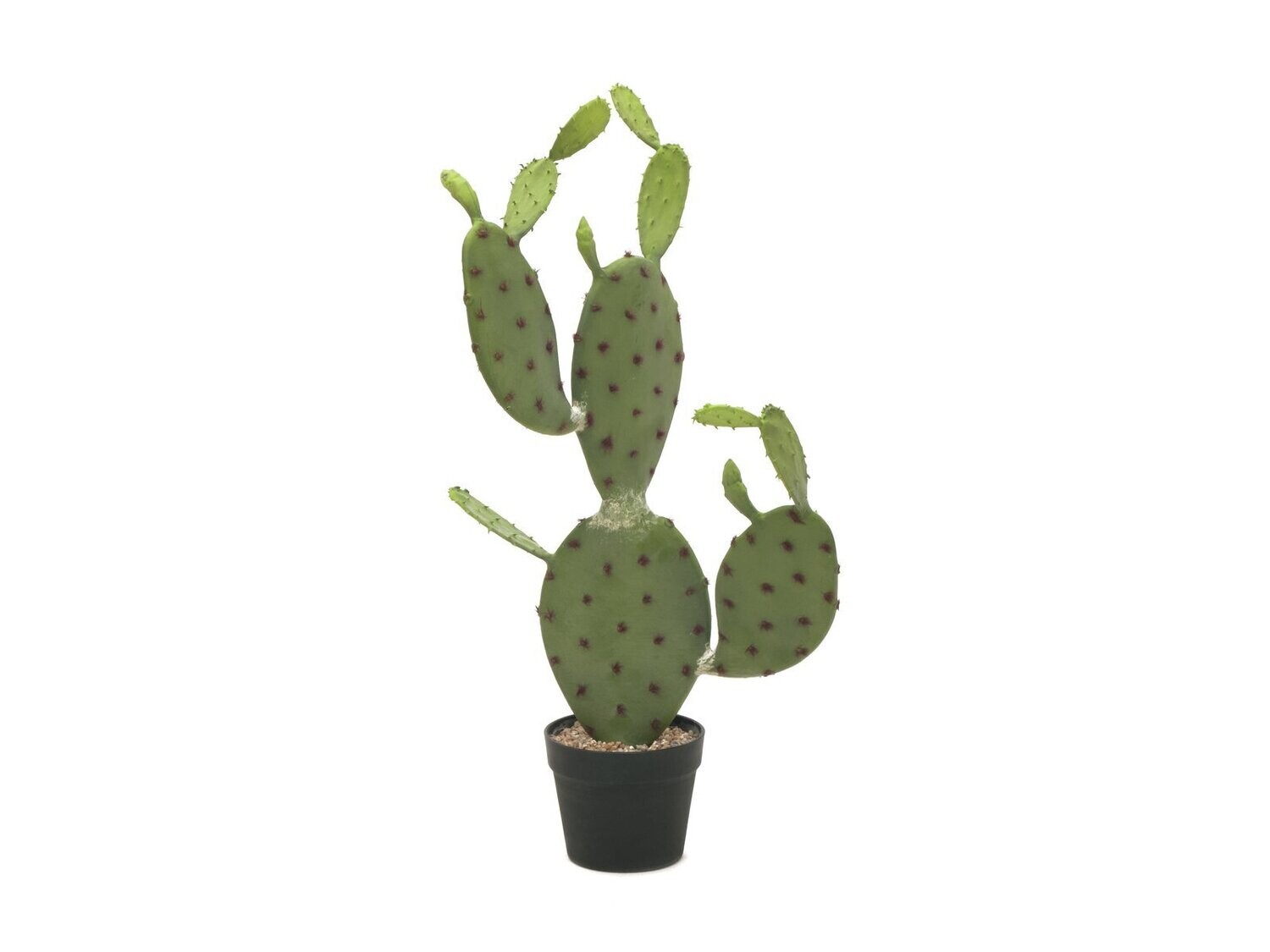 Opuntiakaktus (Nopal) tekokasvi ruukussa 75cm