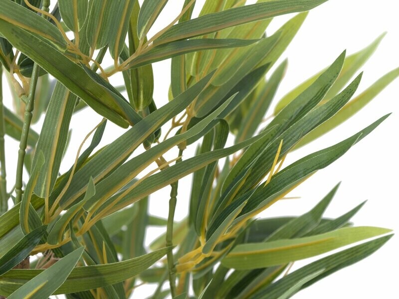 Bambu tekokasvi ruukussa 120cm