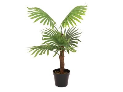 Kääpiöpalmu -tekopalmu 85cm