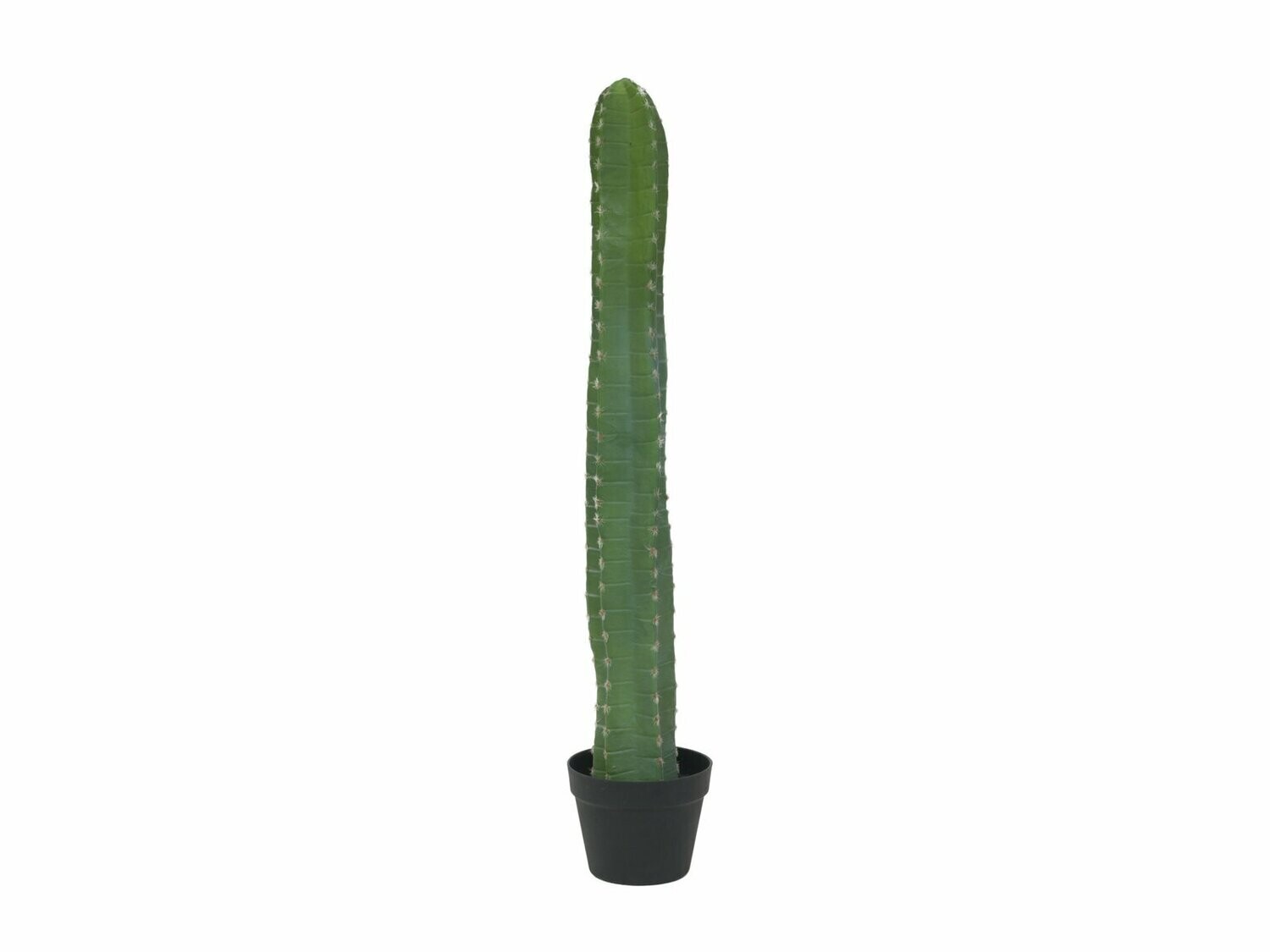 Pilarikaktus tekokasvi ruukussa 95cm