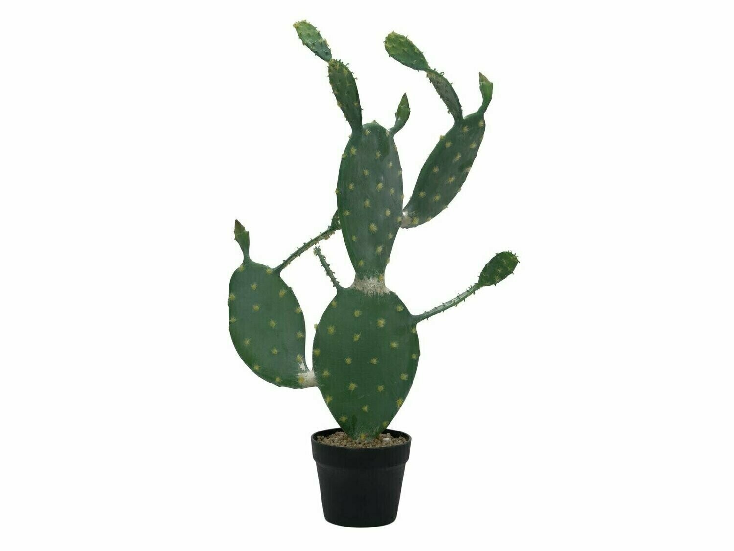 Opuntiakaktus (Nopal) tekokasvi ruukussa 76cm