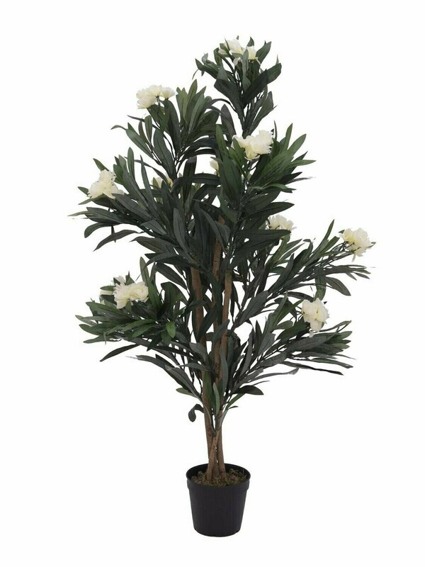 Oleanteri tekopensas ruukussa 120cm