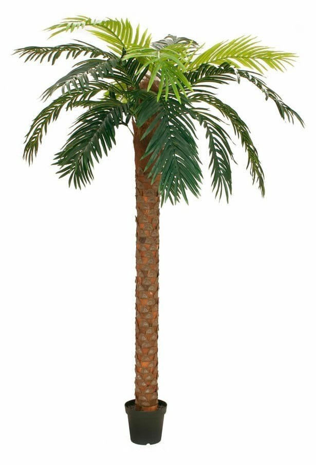 Taatelipalmu tekopuu 300cm