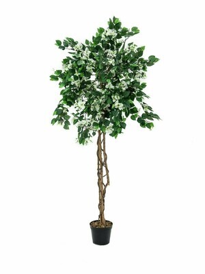 Ihmeköynnöspuu (bougainvillea) valkoinen 150cm keinotekoinen