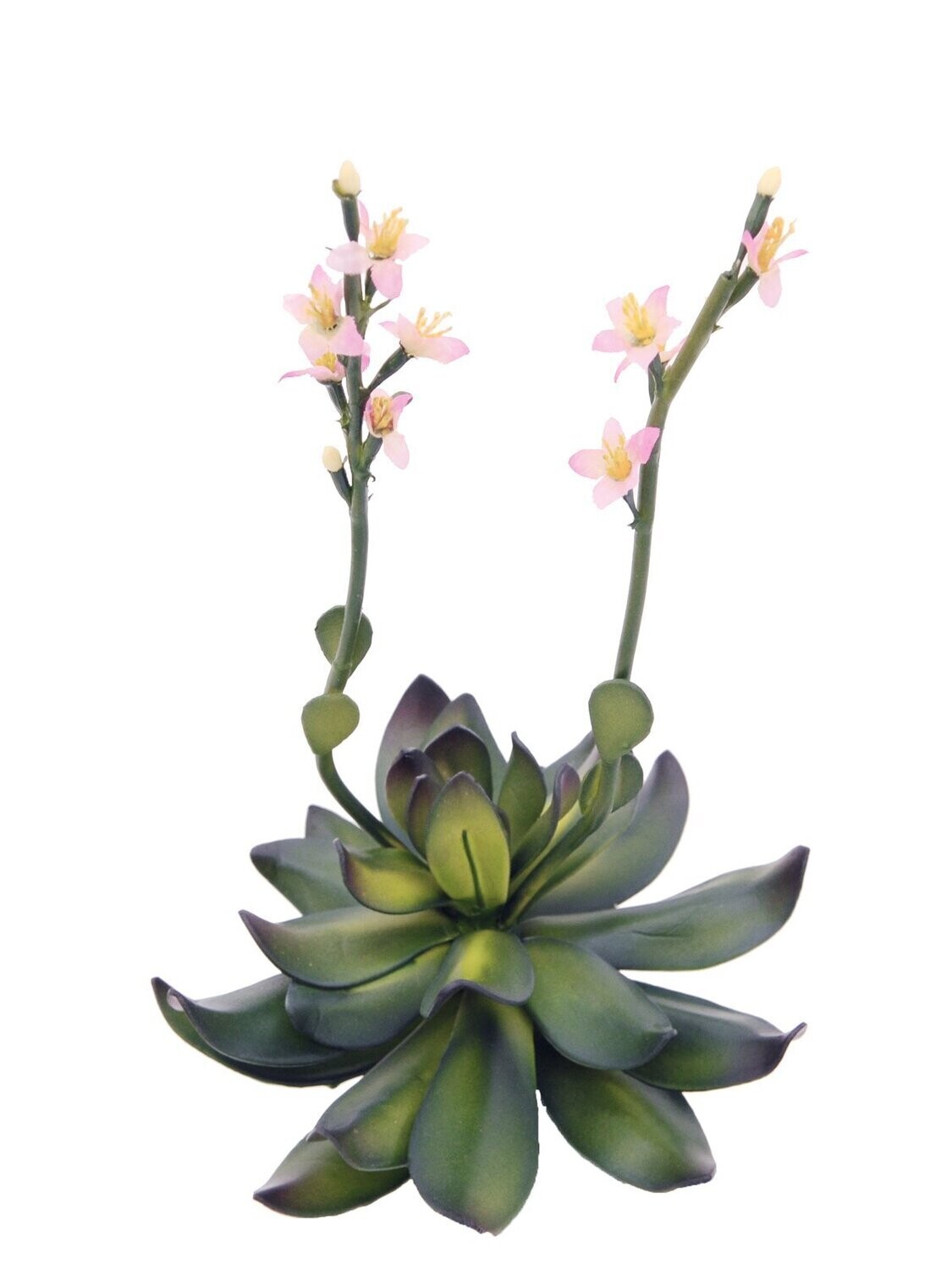 Kukkiva tekomehikasvi