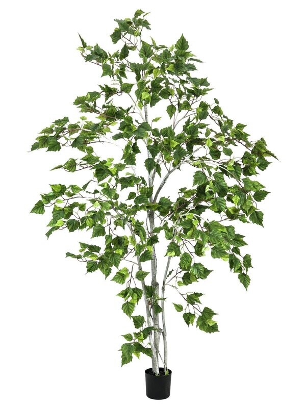 Koivu-tekopuu 180cm