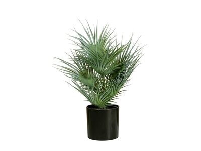 Kääpiöpalmu -tekopalmu 55cm