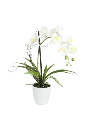 Orkidea tekokasvi ruukussa 60cm, valkoinen