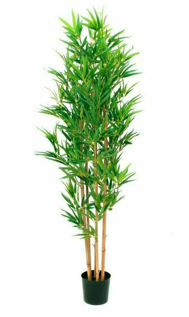 Tekokasvi bambupensas ruukussa 150cm