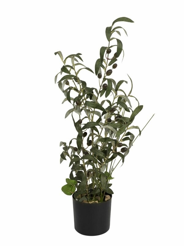 Oliivipensas tekokasvi 68cm