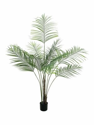 Tekokasvi Areca-palmu 185cm