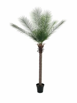 Taatelipalmu tekokasvi 220cm