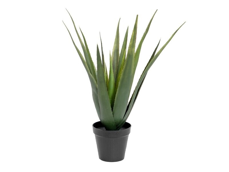 Tekokasvi Aloe Vera ruukussa 60cm