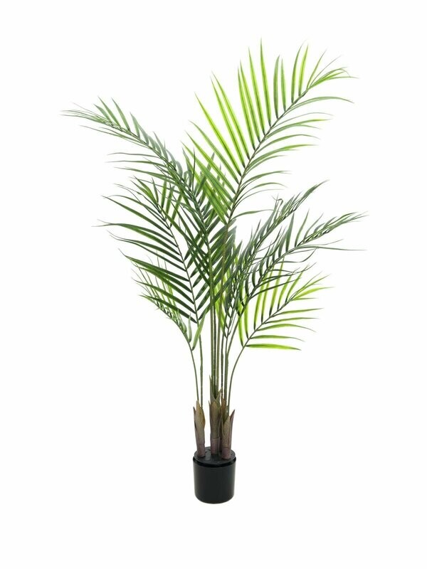 Tekokasvi Areca-palmu 125cm