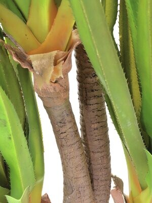 Agave tekokasvi ruukussa 185cm