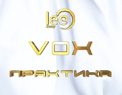Вебинар VOX Практика