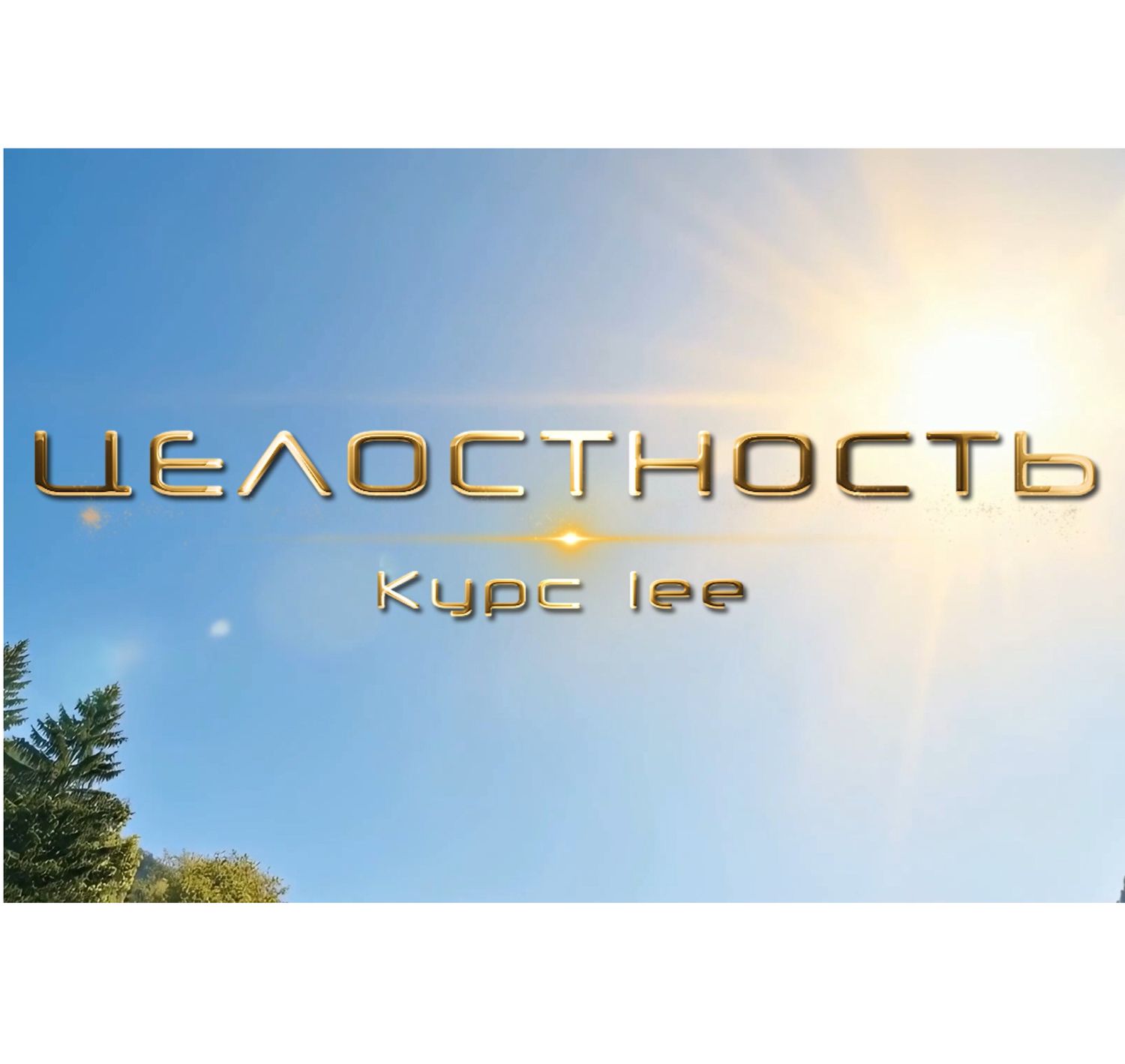 Курс «Целостность»