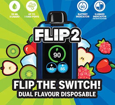 Flip 2 11000