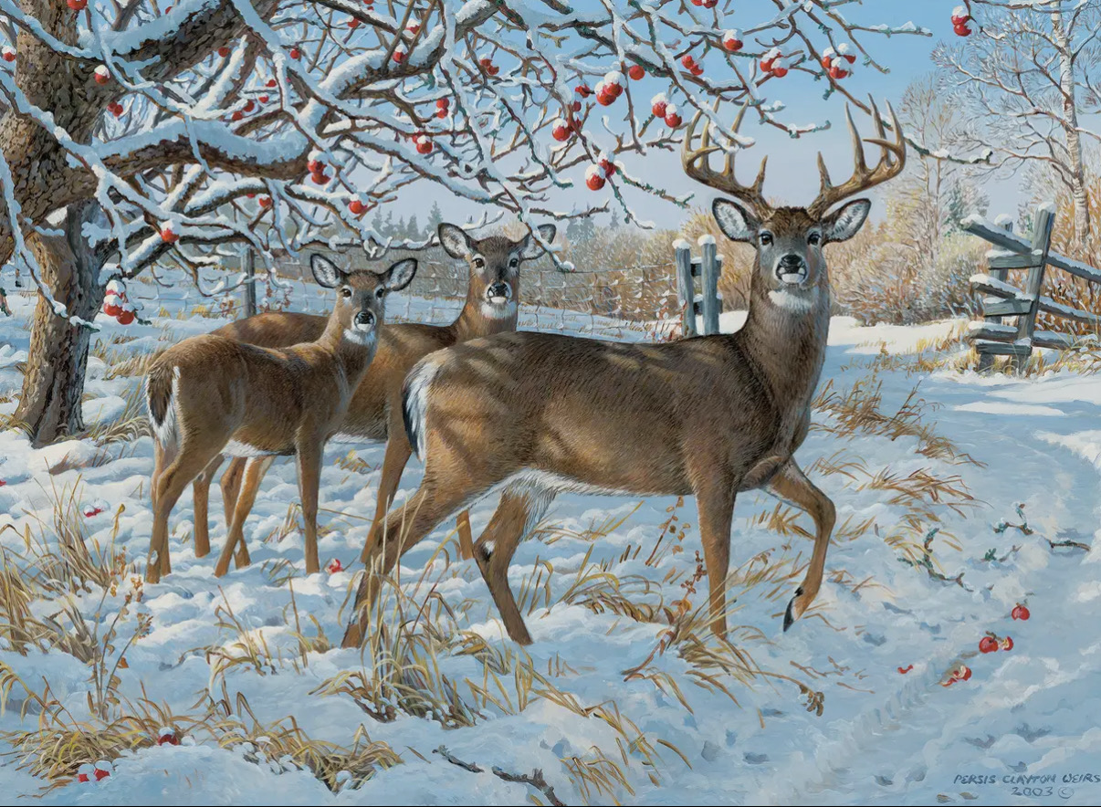 Winter Deer 500pc Puzzle