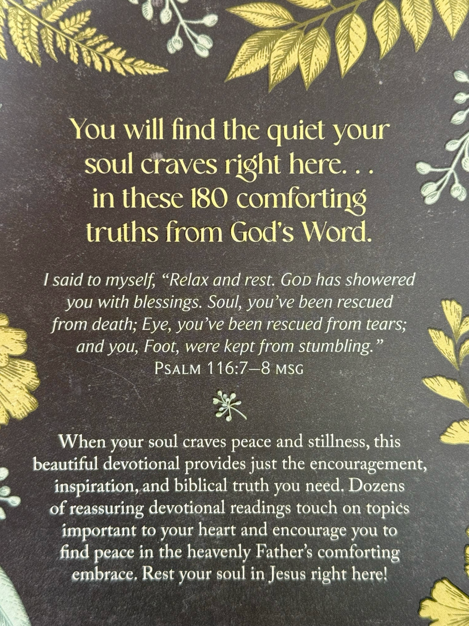 Devotions To Quiet Your Soul