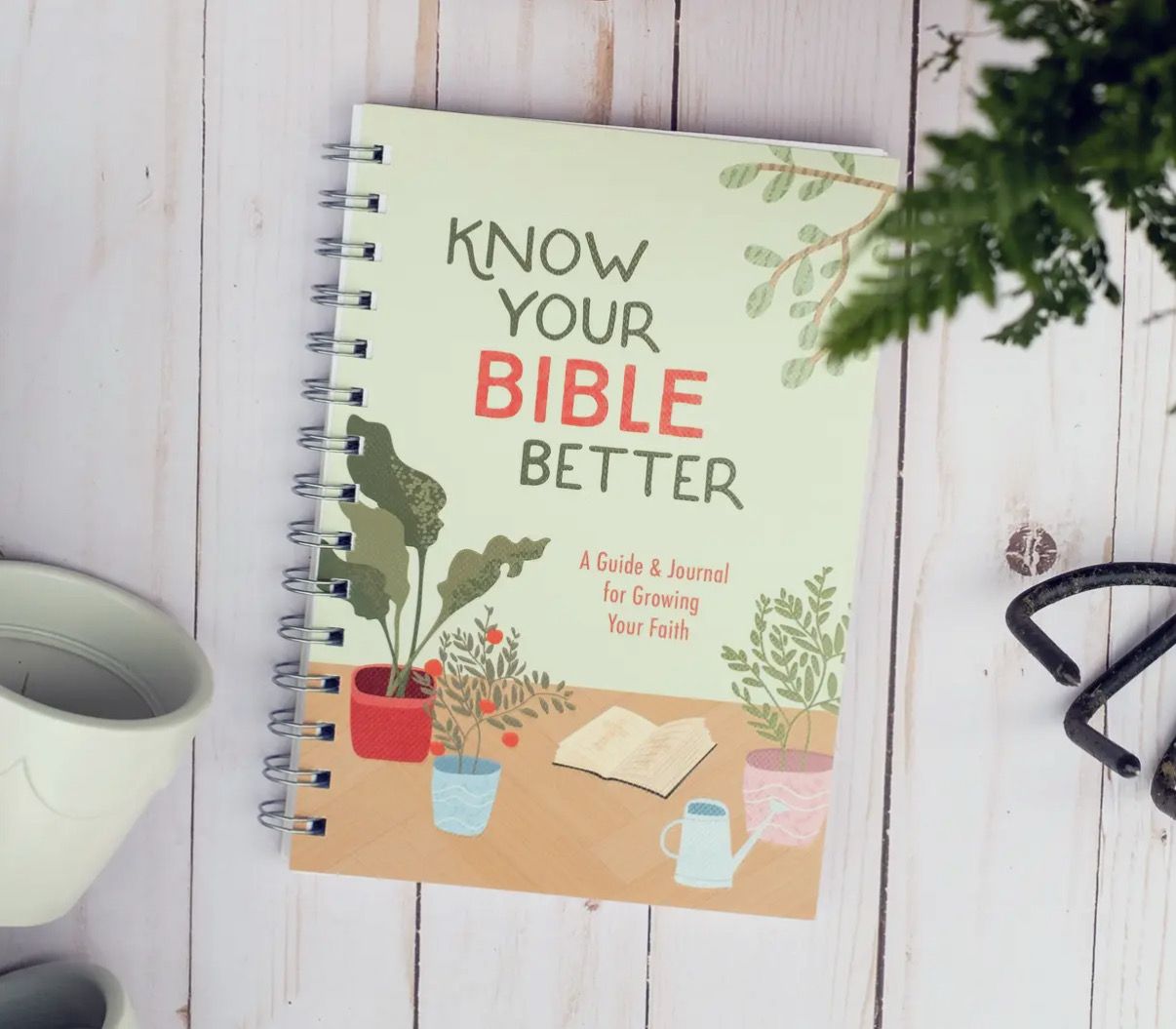 Know Your Bible Better