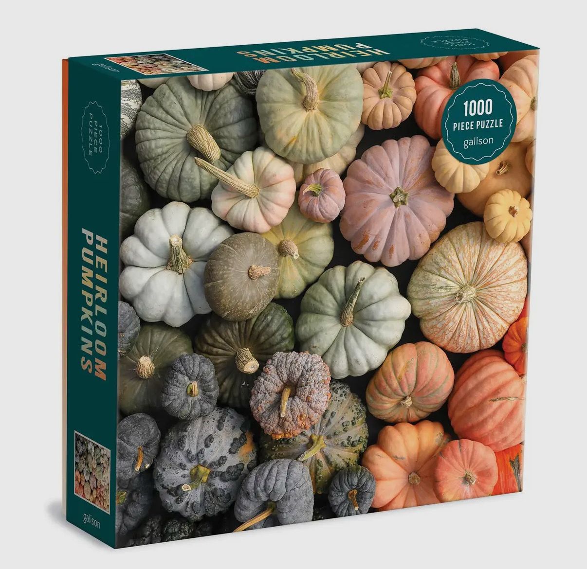 Heirloom Pumpkins 1000pc Puzzle Heirloom Pumpkins 1000pc Puzzle