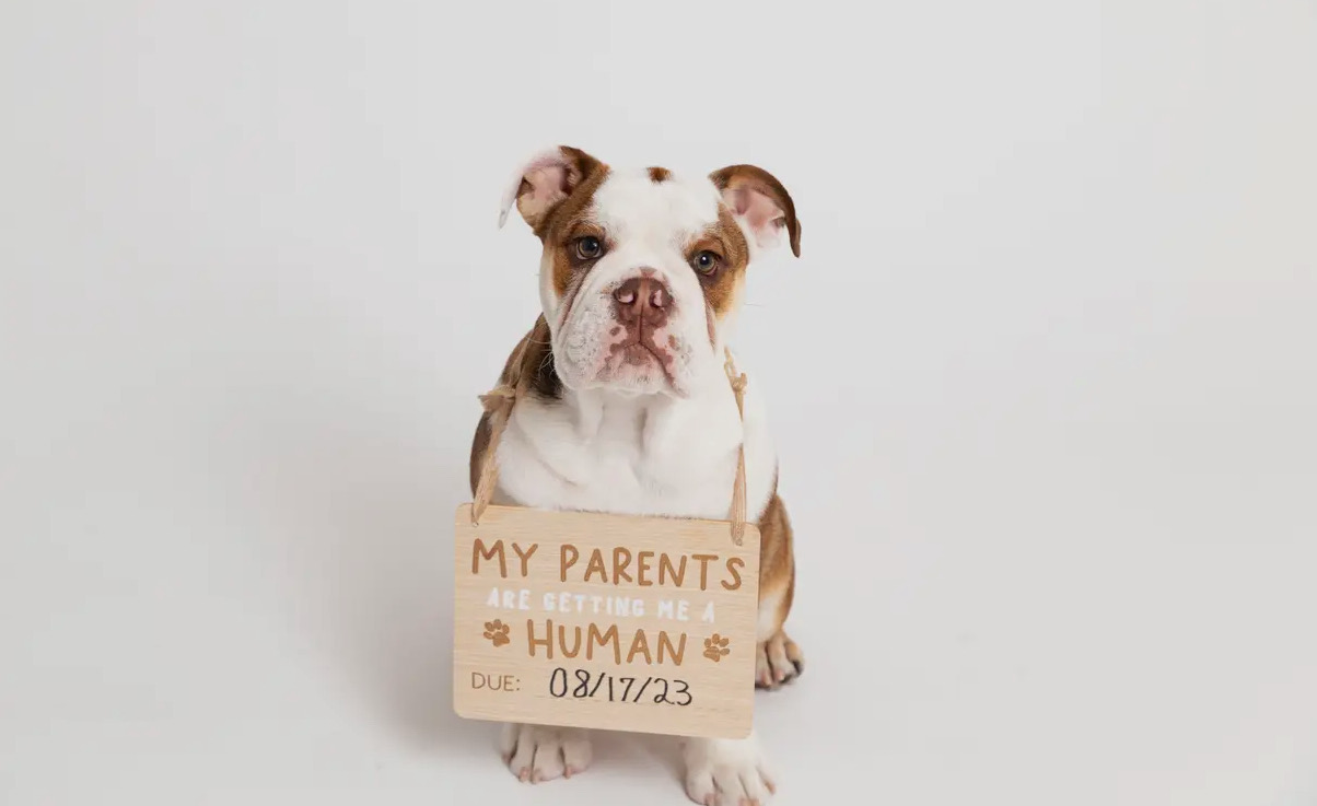 Wooden Pet Pregnancy Announcement Sign