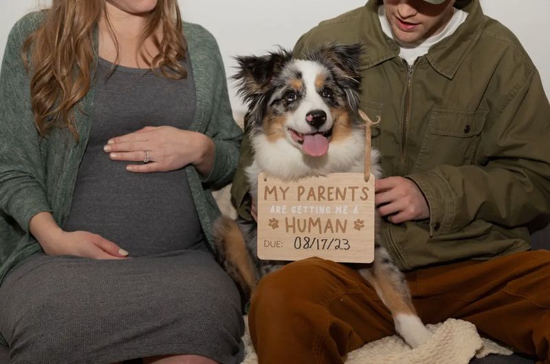 Wooden Pet Pregnancy Announcement Sign