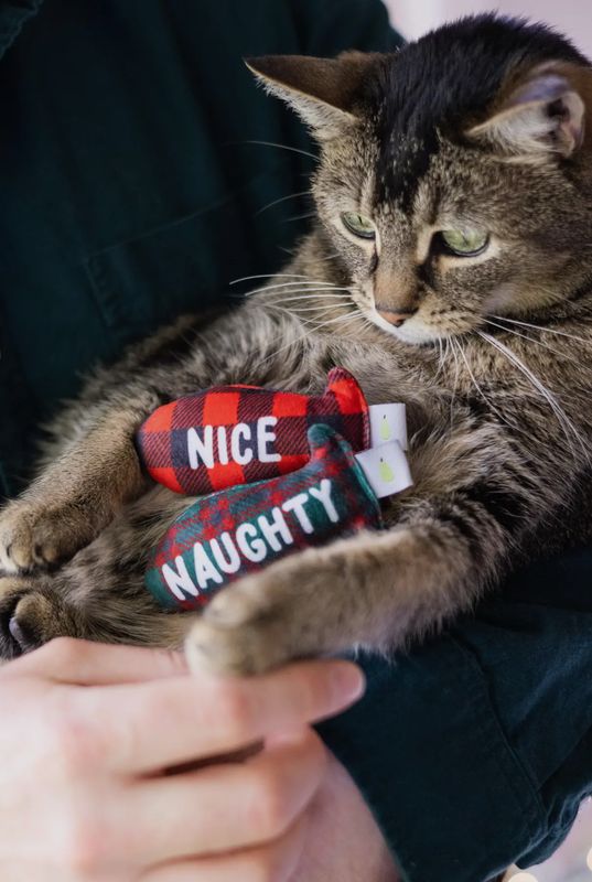 Gifts for Fur Babies