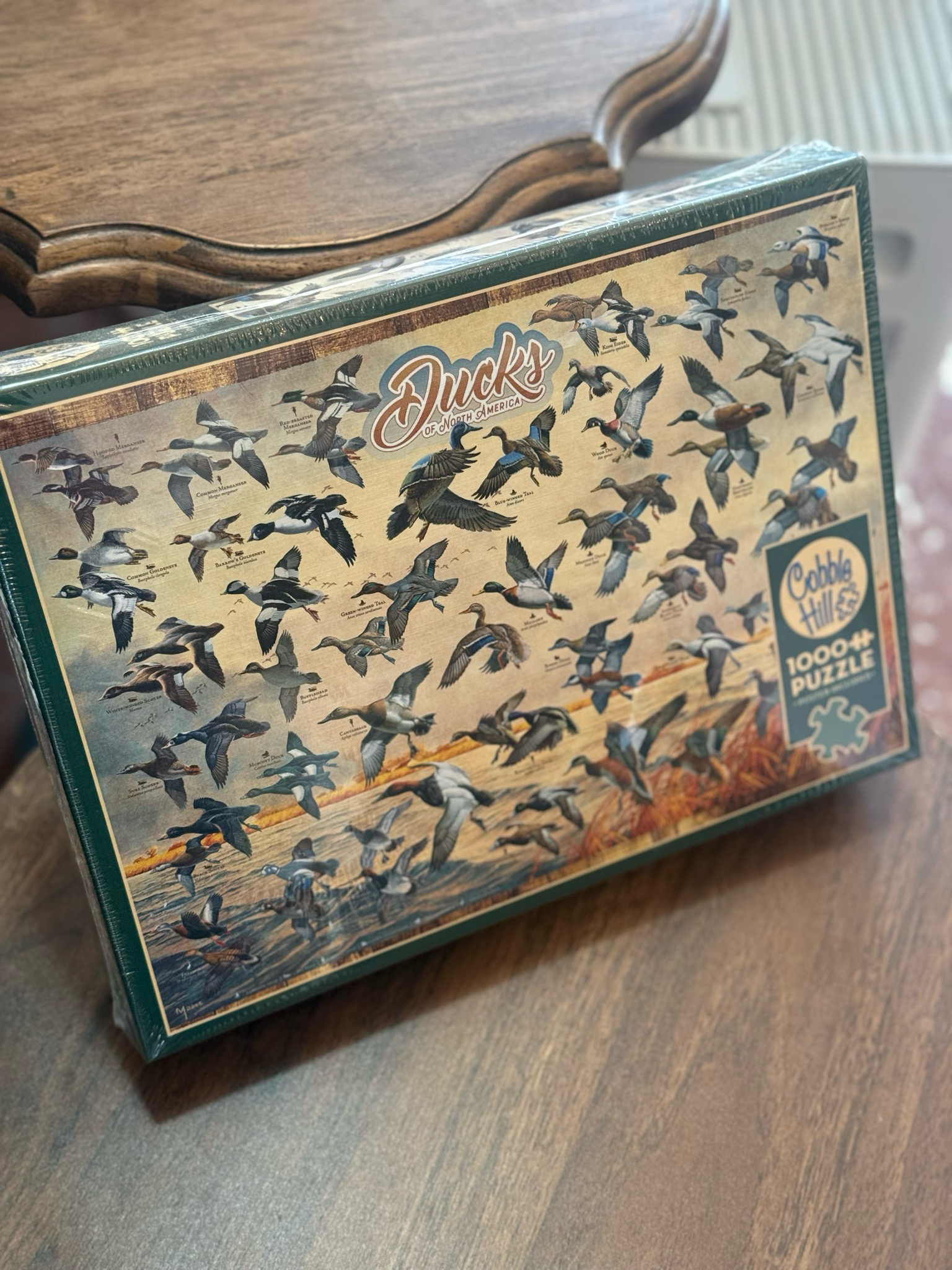 Outdoorsy 1000pc Puzzle