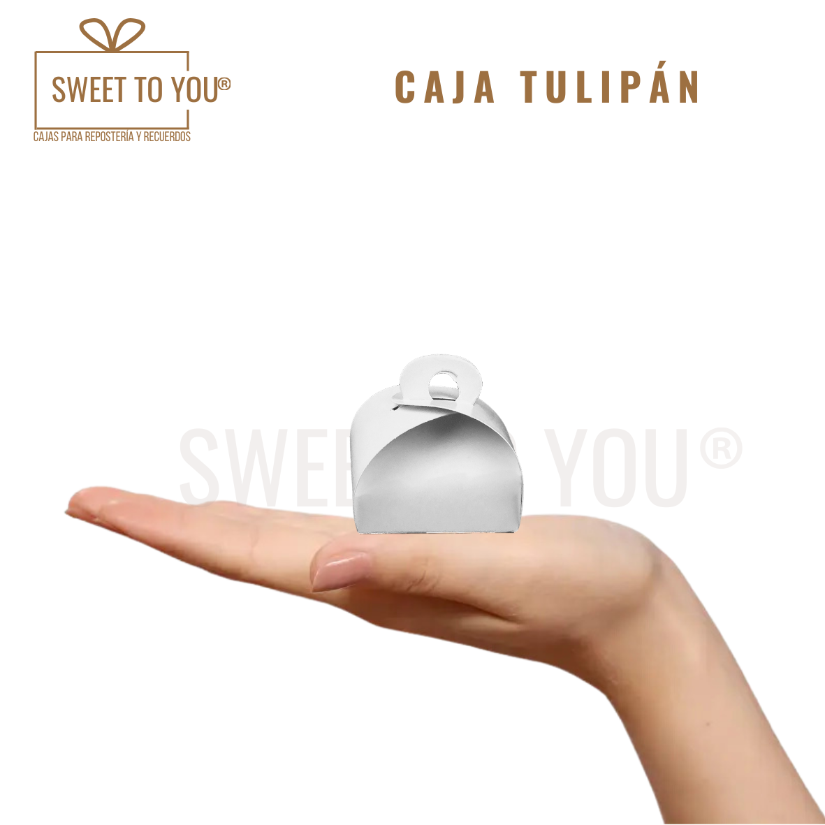 Caja Tulipán | Blanca | 4*5 cm