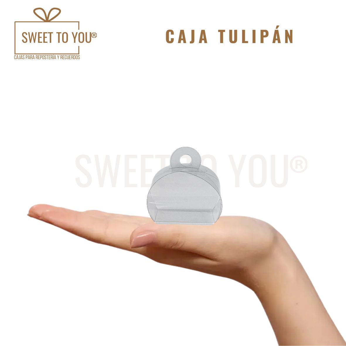 Caja Tulipan | Acetato | 4x5 cm