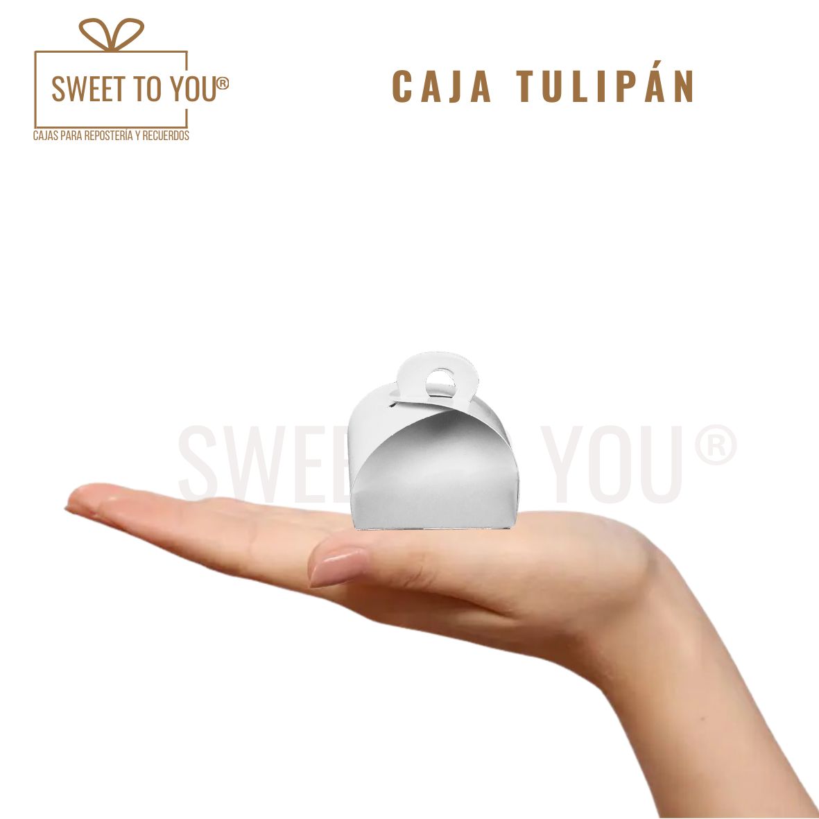 Caja Tulipan | Blanca | 4x5 cm