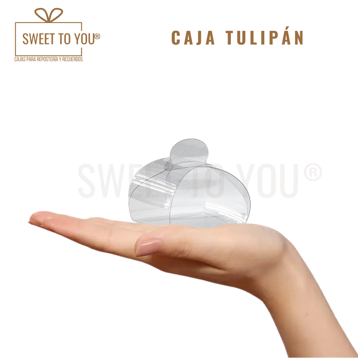 Caja Tulipan | Acetato | 7x7 cm