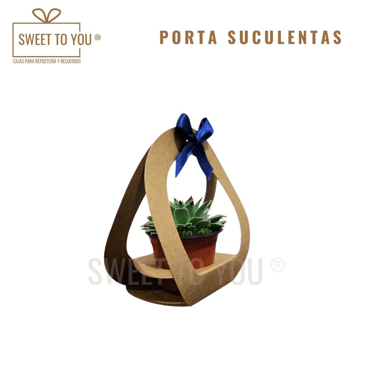 Porta Suculentas Circular | Craft |17x8x8 cm