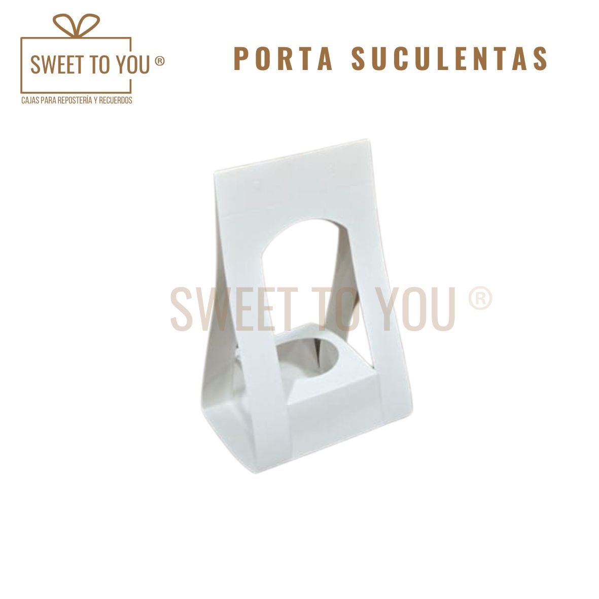 Porta Suculentas | Blanca | 17x8x5 cm