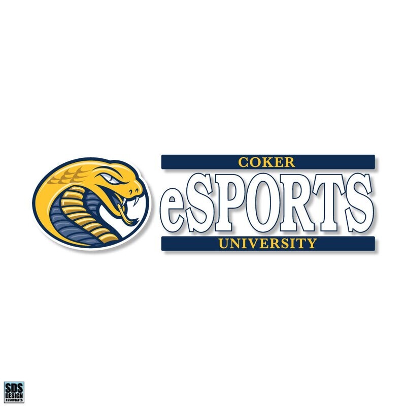 eSports Decal