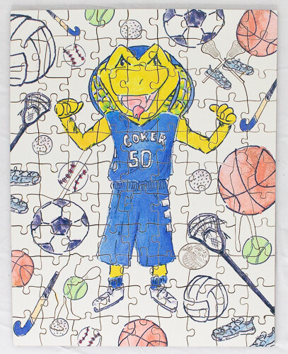 Striker Puzzle